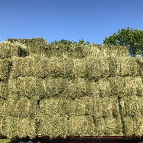 See our. . Hay for sale near me